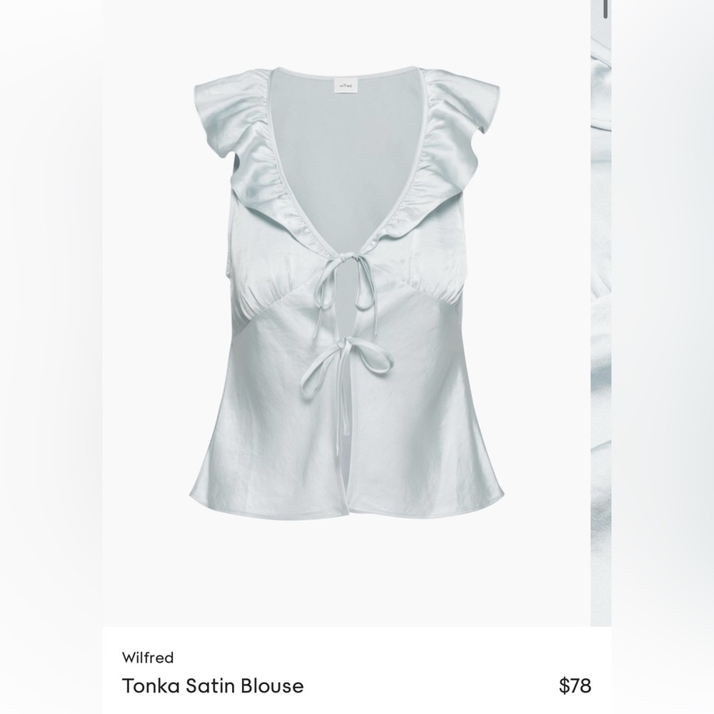 Aritzia Satin Blouse